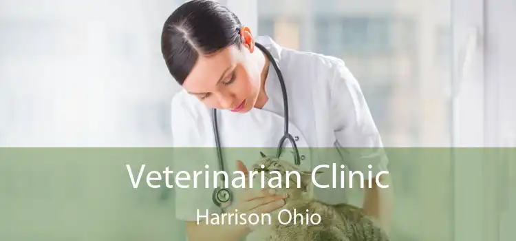 Veterinarian Clinic Harrison Ohio