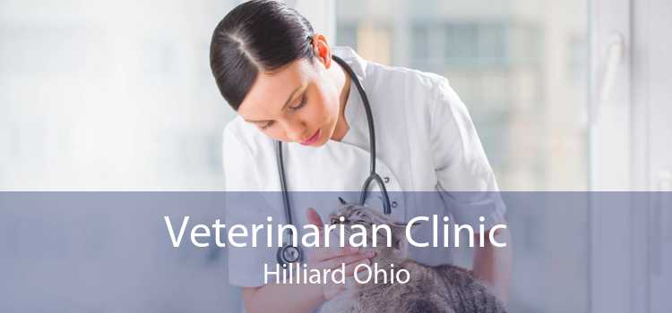 Veterinarian Clinic Hilliard Ohio