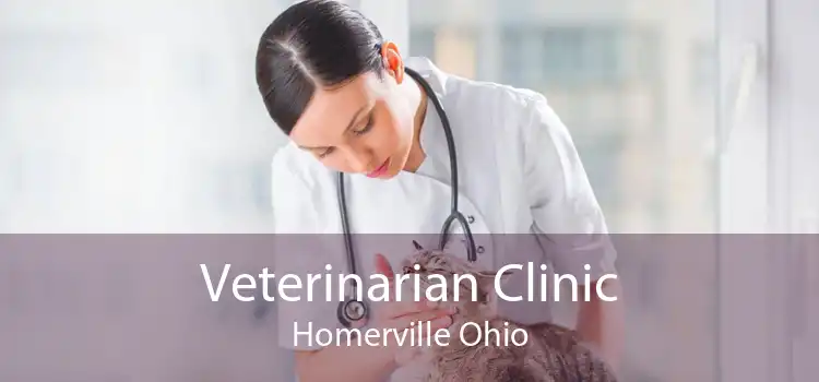 Veterinarian Clinic Homerville Ohio
