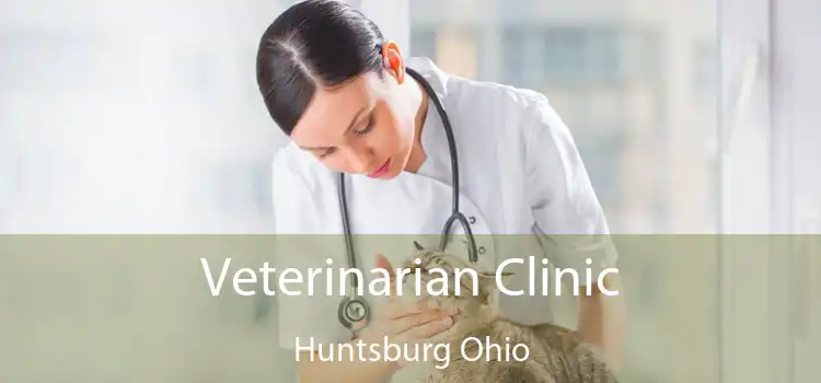 Veterinarian Clinic Huntsburg Ohio