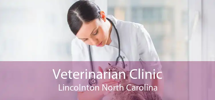 Veterinarian Clinic Lincolnton North Carolina