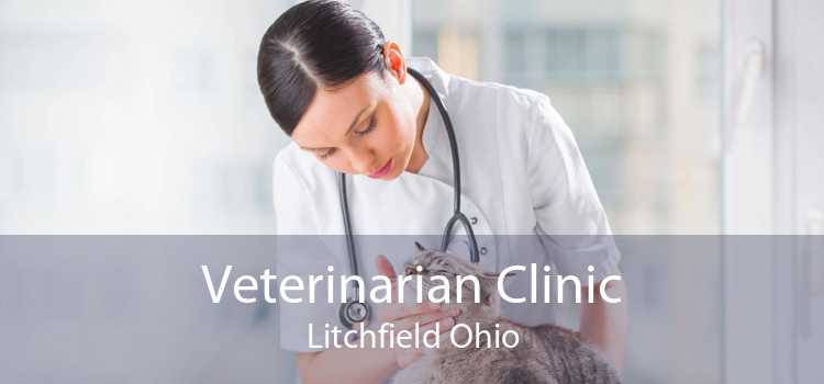Veterinarian Clinic Litchfield Ohio