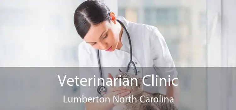 Veterinarian Clinic Lumberton North Carolina