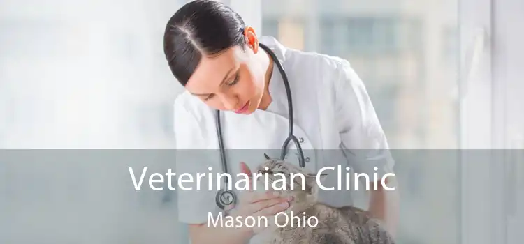 Veterinarian Clinic Mason Ohio
