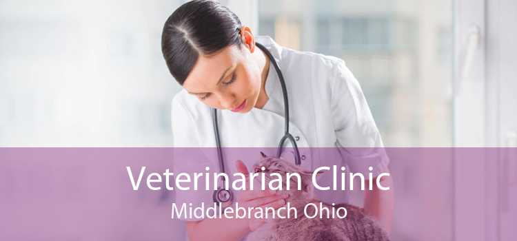 Veterinarian Clinic Middlebranch Ohio