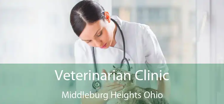 Veterinarian Clinic Middleburg Heights Ohio