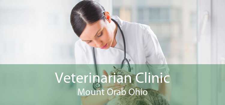 Veterinarian Clinic Mount Orab Ohio