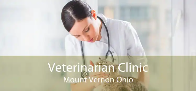 Veterinarian Clinic Mount Vernon Ohio