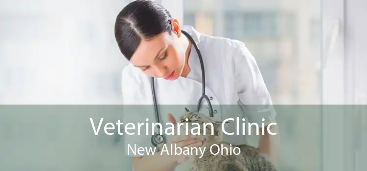 Veterinarian Clinic New Albany Ohio