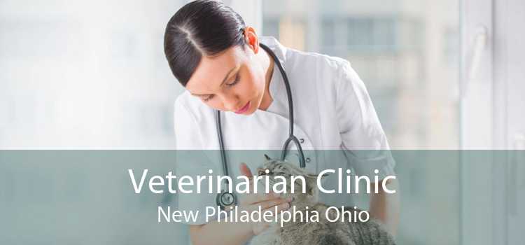 Veterinarian Clinic New Philadelphia Ohio
