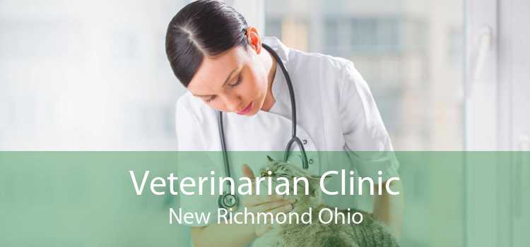 Veterinarian Clinic New Richmond Ohio