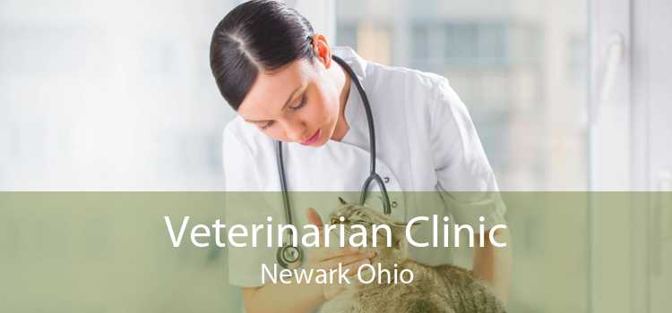 Veterinarian Clinic Newark Ohio