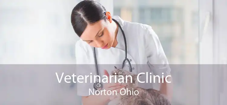 Veterinarian Clinic Norton Ohio