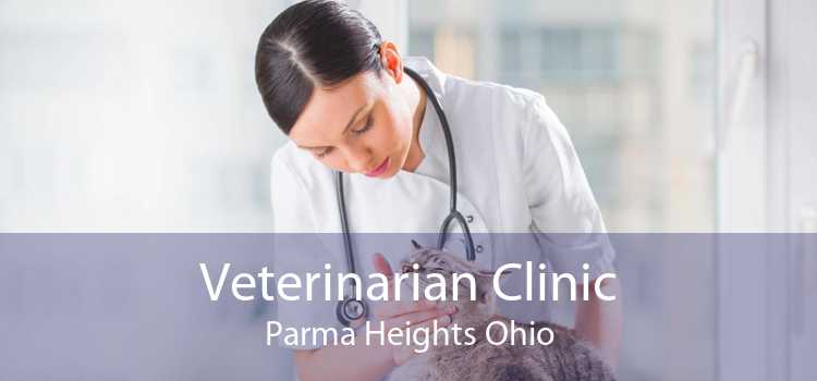 Veterinarian Clinic Parma Heights Ohio