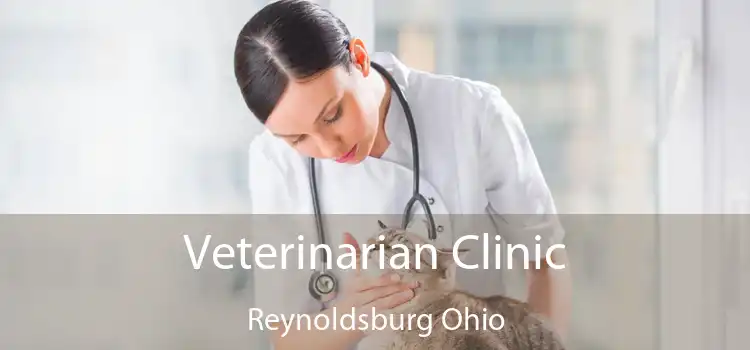 Veterinarian Clinic Reynoldsburg Ohio