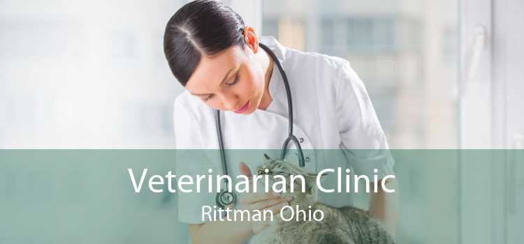 Veterinarian Clinic Rittman Ohio