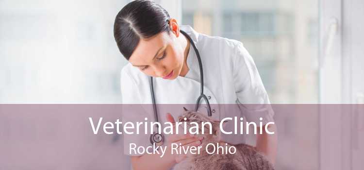 Veterinarian Clinic Rocky River Ohio