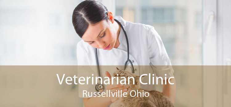Veterinarian Clinic Russellville Ohio