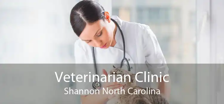 Veterinarian Clinic Shannon North Carolina