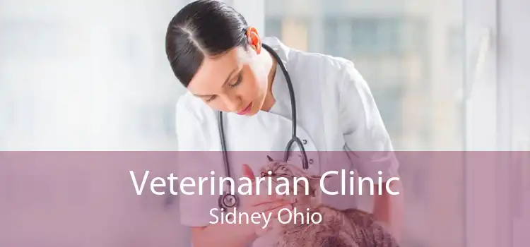 Veterinarian Clinic Sidney Ohio