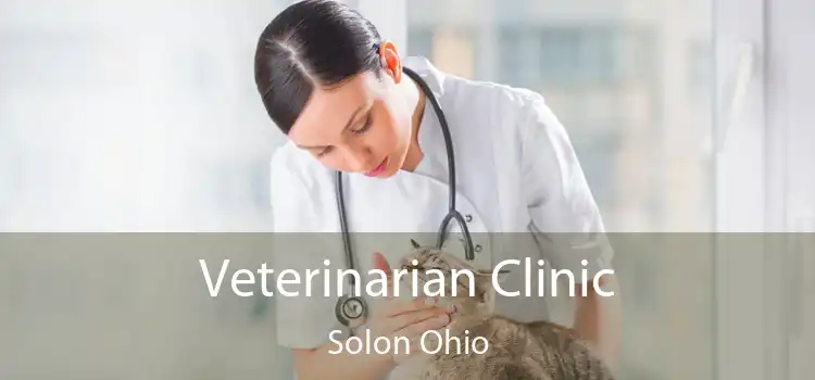 Veterinarian Clinic Solon Ohio