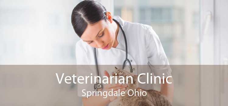 Veterinarian Clinic Springdale Ohio