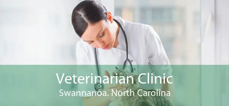 Veterinarian Clinic Swannanoa. North Carolina