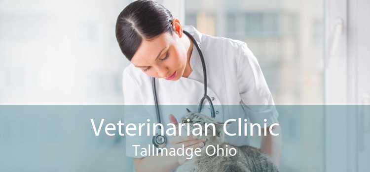 Veterinarian Clinic Tallmadge Ohio