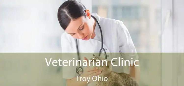 Veterinarian Clinic Troy Ohio