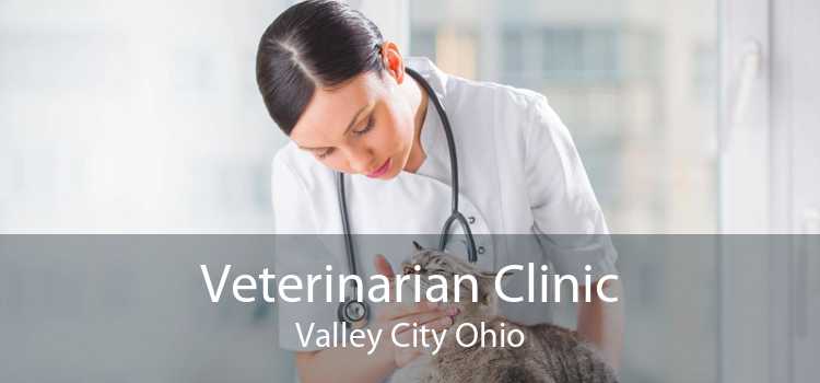 Veterinarian Clinic Valley City Ohio