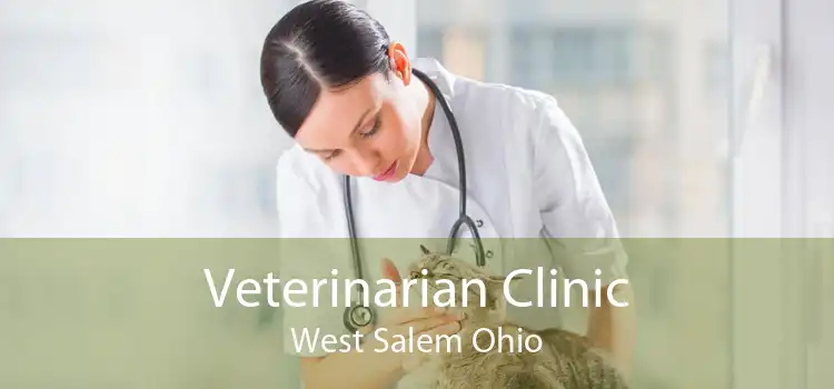 Veterinarian Clinic West Salem Ohio