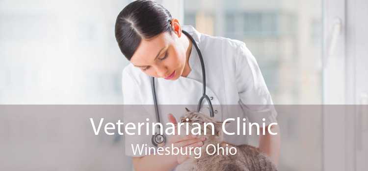 Veterinarian Clinic Winesburg Ohio