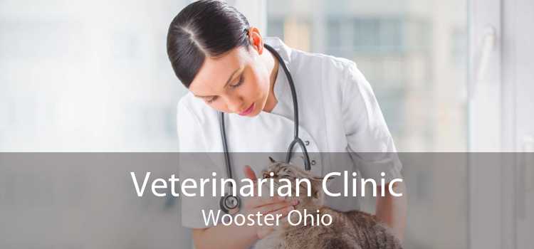 Veterinarian Clinic Wooster Ohio