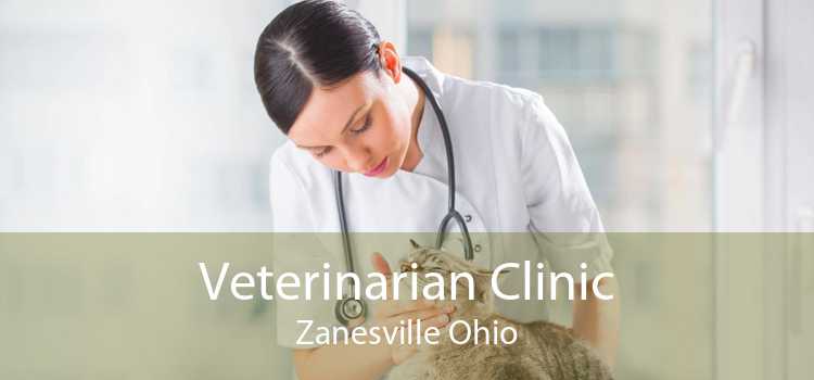 Veterinarian Clinic Zanesville Ohio